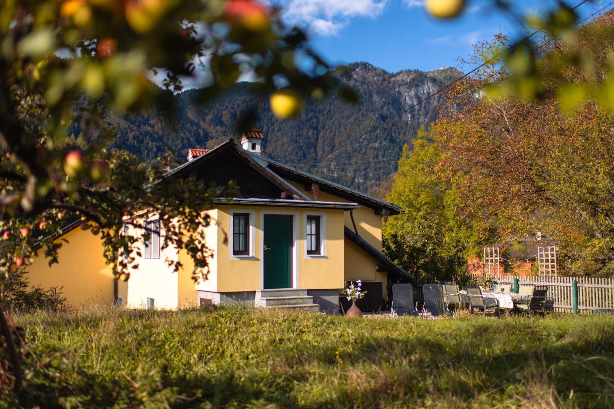 Ferienhaus Alexandra In Ebensee Buitenkant foto